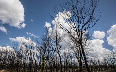 Átlagosan 40%-kal leszünk szegényebbek, ha a világ 4°C-kal felmelegszik