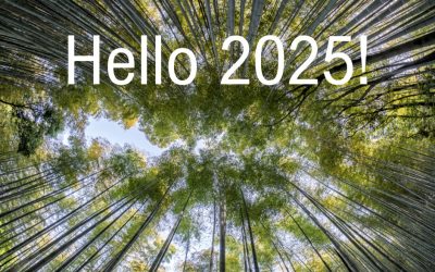 Hello 2025! /3 – Vezetői tanácsok