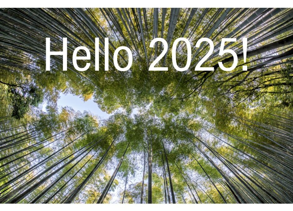 Hello 2025! /3 – Vezetői tanácsok