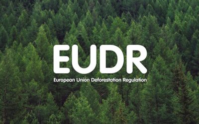 Az EU egy évvel elhalasztja az EUDR bevezetését