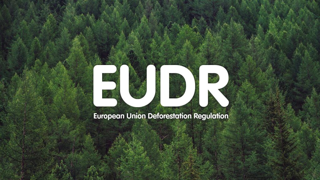 Az EU egy évvel elhalasztja az EUDR bevezetését