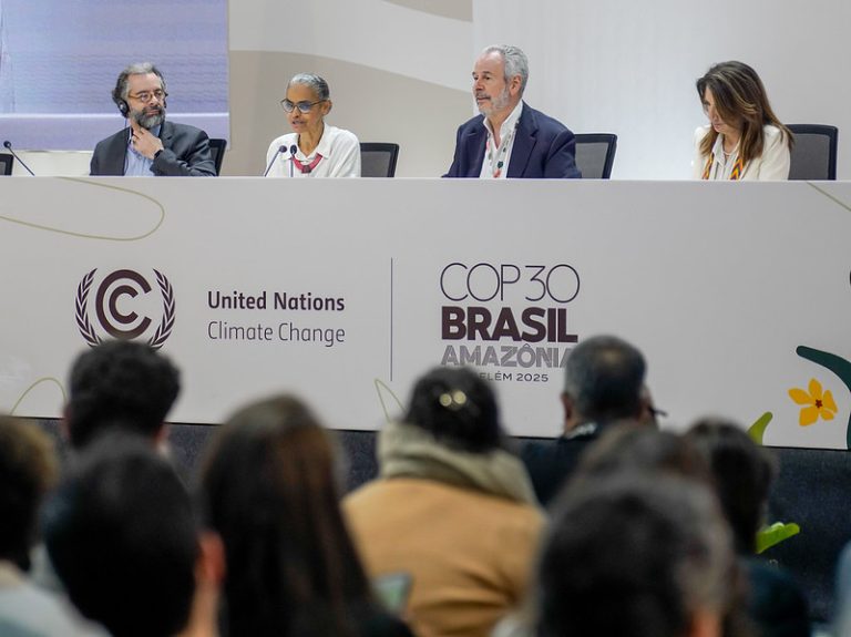 COP30 Results, or Where Did d’Artagnan Go?