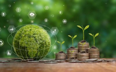 Zöld kötvények új korszakban: az EU „aranystandardja” és a fenntartható finanszírozás átalakulása