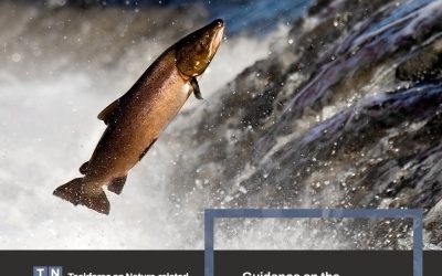 Megérkezett a TNFD LEAP 2.0 verziója